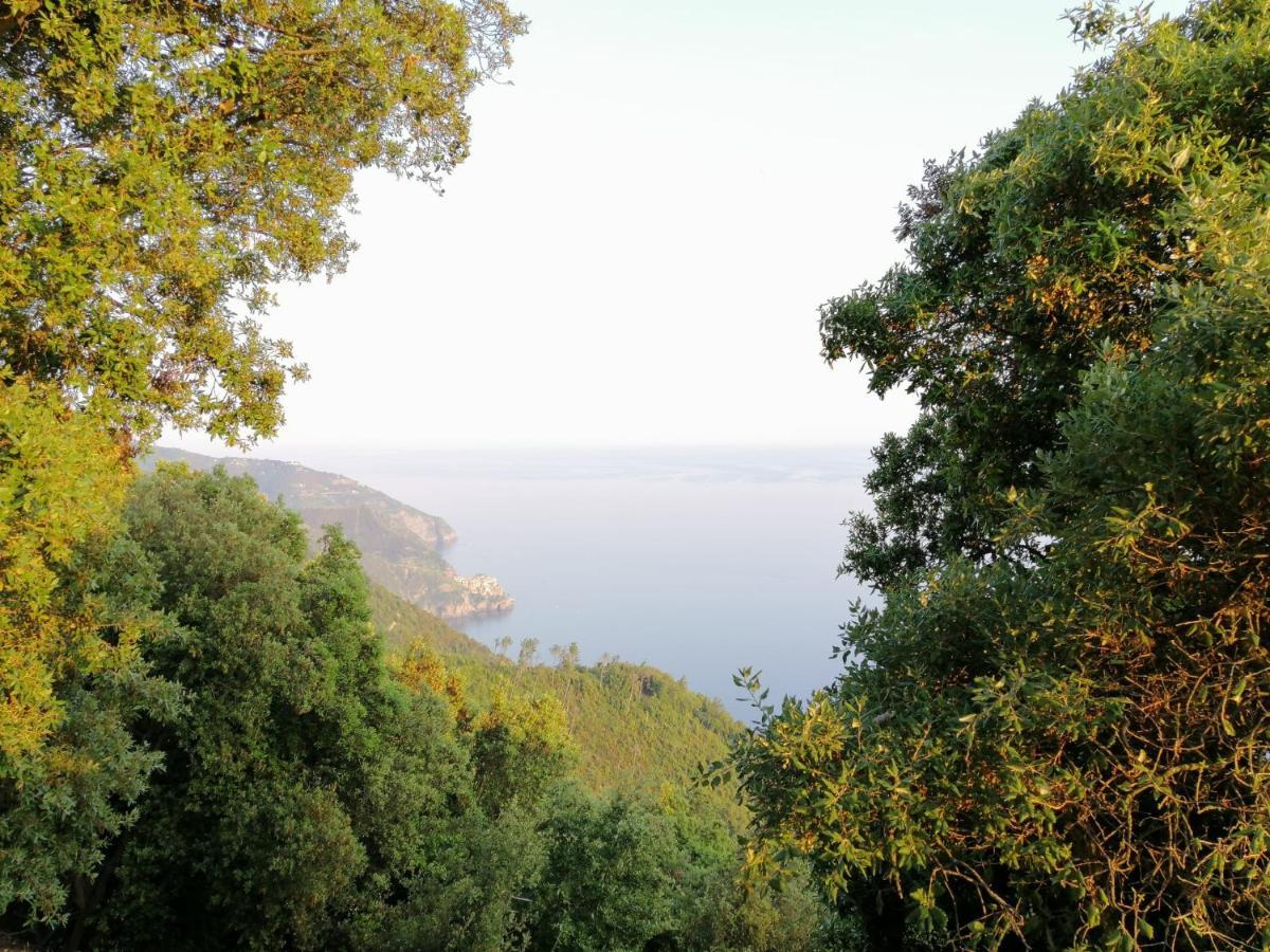 Ca Di Dome Appartamento Vista Mare San Bernardino Eksteriør billede
